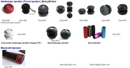 Dipro_speaker_2